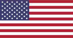 Selected language flag
